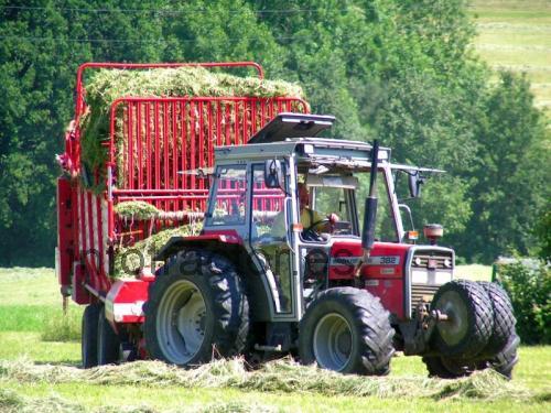 Massey Ferguson 382 opinión y ficha técnica
